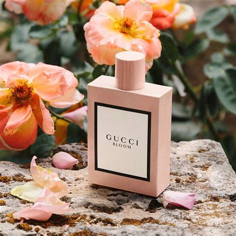 gucci bloom hồng 100ml|gucci bloom 100ml price.